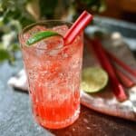 Rhubarb Gin Tonic Cocktail: 1 Amazing Spring Sip 4 Rhubarb Gin Tonic Cocktail